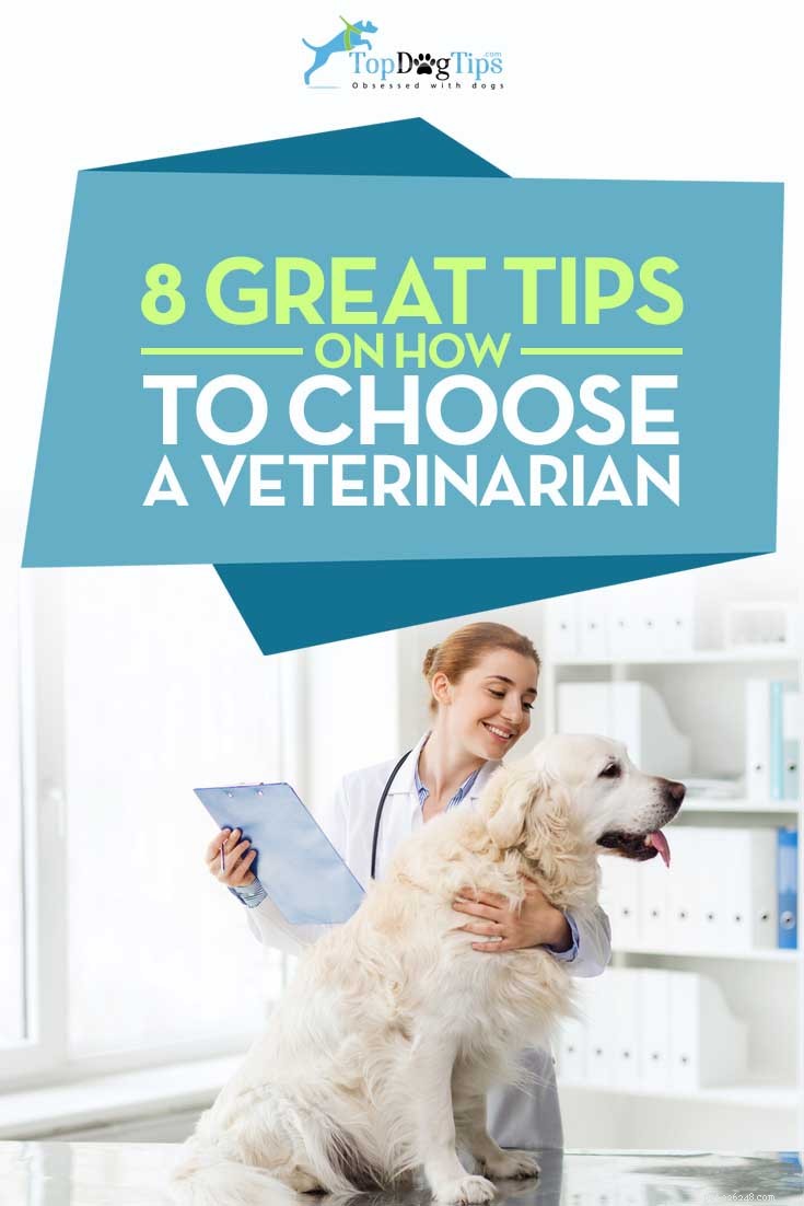 How to Find the Best Veterinarian: 8 Expert Resources