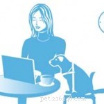How to Find the Best Veterinarian: 8 Expert Resources