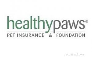 Top 3 Dog Pet Insurance Plans to Protect Your Furry Family Member