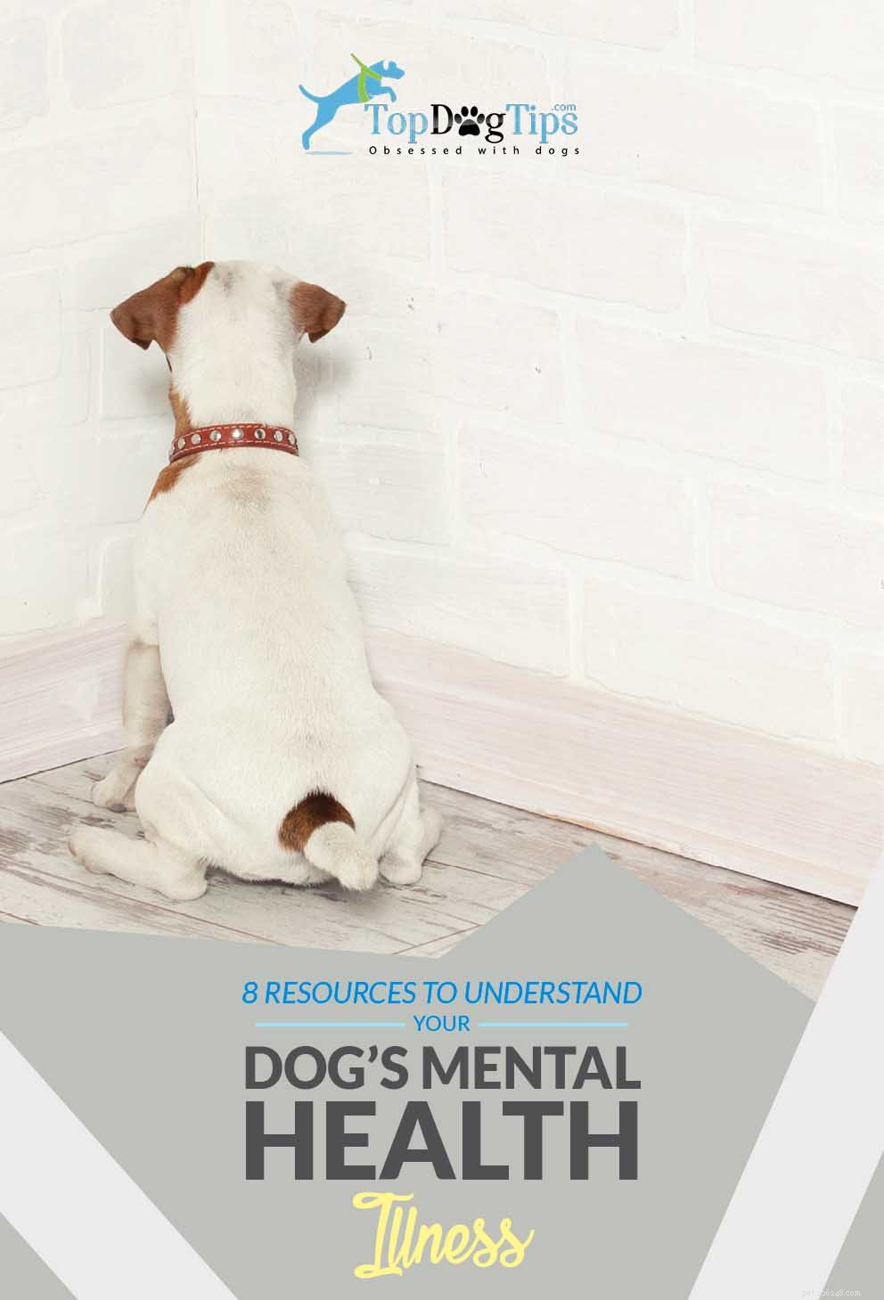 Canine Mental Health 101: Spotting & Treating Depression & Compulsion Disorders