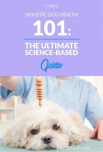 The Ultimate Evidence-Based Guide to Holistic Dog Health
