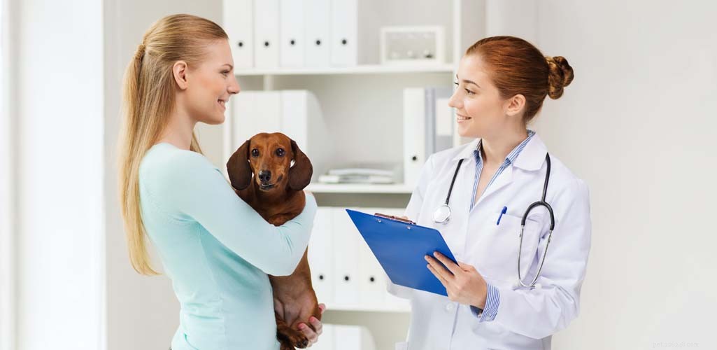 The Ultimate Evidence-Based Guide to Holistic Dog Health