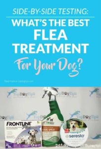 Top 3 Flea & Tick Treatments for Dogs: Frontline, Seresto, and Vet s Best – A Comprehensive Comparison