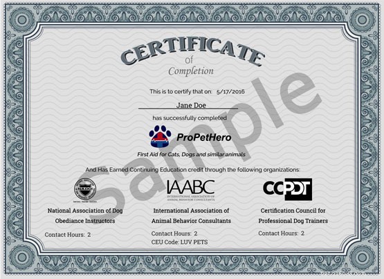 Pro Pet Hero Online Dog First Aid Course: Expert Review & Key Takeaways