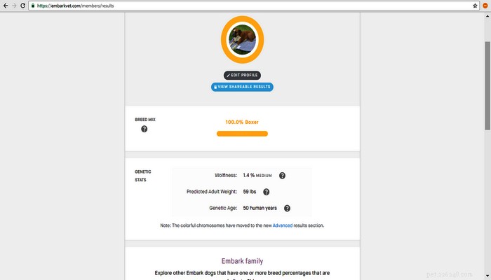Embark Dog DNA Test Kit Review: Uncover 160+ Genetic Health Risks & Ancestry