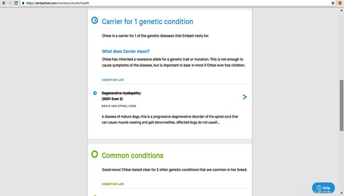 Embark Dog DNA Test Kit Review: Uncover 160+ Genetic Health Risks & Ancestry