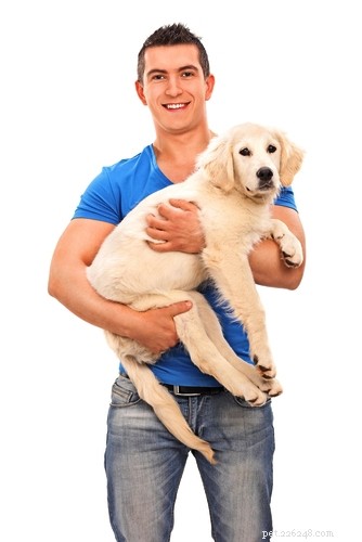 How to Safely Help Your Dog Get onto Beds and Cars – Simple Steps for All Ages