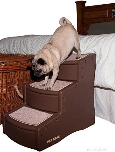 How to Safely Help Your Dog Get onto Beds and Cars – Simple Steps for All Ages