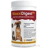 Choosing the Best Probiotics for Dogs: Are They Essential for Your Pet’s Health?
