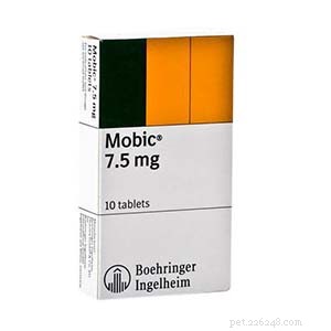 Mobic for Dogs: Safe Alternatives and How to Use Meloxicam/Metacam for Pain Relief