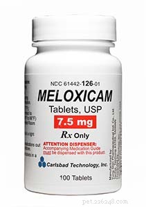 Mobic for Dogs: Safe Alternatives and How to Use Meloxicam/Metacam for Pain Relief