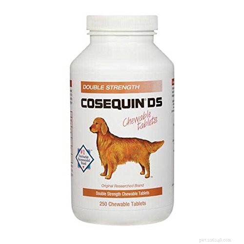 Top 7 Veterinary‑Approved Supplements to Boost Your Dog’s Health