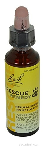Top 7 Veterinary‑Approved Supplements to Boost Your Dog’s Health