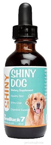 Top 7 Veterinary‑Approved Supplements to Boost Your Dog’s Health