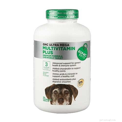 Top 7 Veterinary‑Approved Supplements to Boost Your Dog’s Health