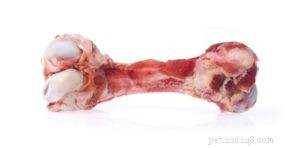 Expert Dog Dental Care: A Complete Guide to Healthy Teeth & Longevity