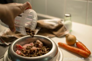 Dog Pancreatitis: Recognizing Symptoms, Home Care & Veterinary Treatments, and Prevention Tips