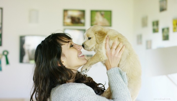 How Long Do Dogs Live? Understanding Breed-Specific Life Expectancy