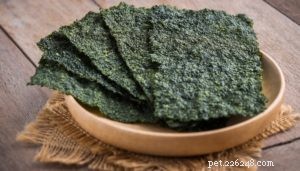 Top 9 Science‑Backed Superfoods to Boost Your Dog’s Health