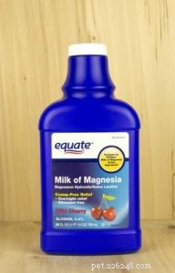 Is Milk of Magnesia Safe for Dogs? A Vet-Approved Guide