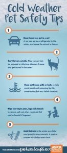 Is It Safe to Let Your Dog Outside in Cold Weather? A Practical Guide