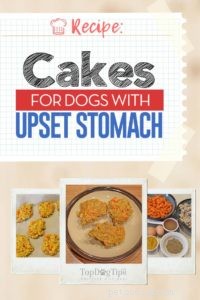 Gentle Chicken & Rice Cakes for Dogs with Sensitive Stomachs