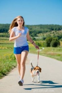 Science-Backed Strategies: 7 Effective Ways to Calm Your Dog