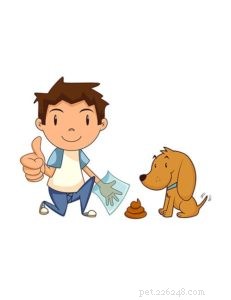 8 Proven, Science-Backed Strategies to Treat and Prevent Parvovirus in Dogs