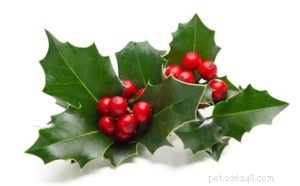 Top 20 Dog‑Safe Christmas Decor: Avoid These 20 Dangerous Items