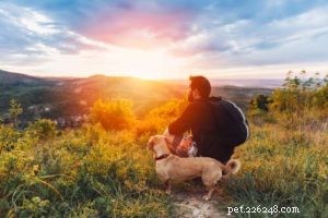 10 Expert Tips to Help Your Dog Lose Winter Weight Safely