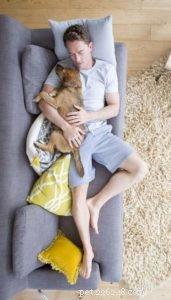 How Much Do Dogs Sleep? Factors & Average Hours Explained