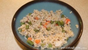 Help Your Dog Regain Appetite: Proven Strategies When They Won’t Eat