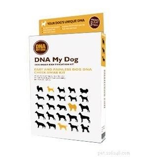 Expert Guide to Choosing the Right DNA Test for Your Dog