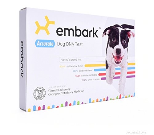 Expert Guide to Choosing the Right DNA Test for Your Dog