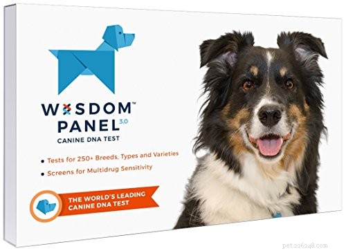 Expert Guide to Choosing the Right DNA Test for Your Dog