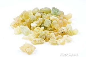 Top 6 Natural Supplements for Managing Your Dog’s Joint Pain