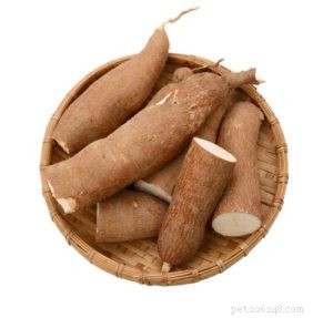 Top 6 Natural Supplements for Managing Your Dog’s Joint Pain