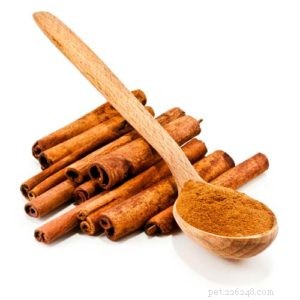 Top 6 Natural Supplements for Managing Your Dog’s Joint Pain