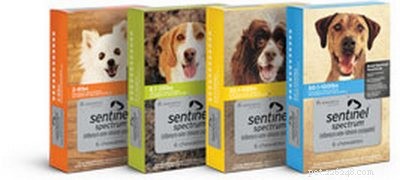 Veterinarian’s Guide to Choosing the Best Flea Pills for Dogs