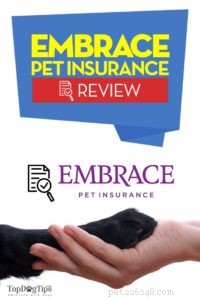 Embrace Pet Insurance Review: Coverage, Costs, and Value for Your Dog’s Health