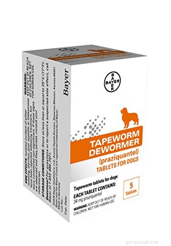 Veterinarian s Guide to Deworming Your Dog: Why, When, and How to Choose the Right Treatment