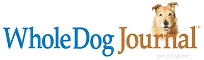 Top 10 Trusted Dog Care Resources for Pet Owners