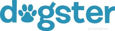 Top 10 Trusted Dog Care Resources for Pet Owners
