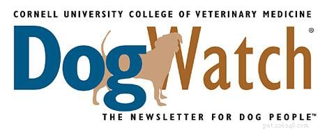 Top 10 Trusted Dog Care Resources for Pet Owners