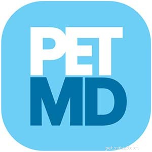 Top 10 Trusted Dog Care Resources for Pet Owners