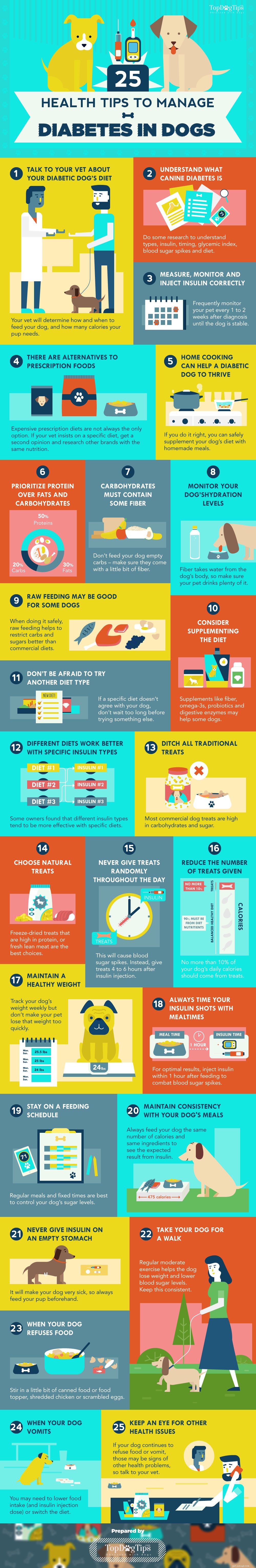 25 Proven Strategies to Manage Canine Diabetes – Expert Guide & Infographic