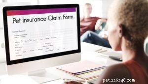 The Ultimate Beginner’s Guide to Pet Insurance: Find the Best Coverage & Pricing