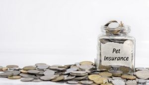 The Ultimate Beginner’s Guide to Pet Insurance: Find the Best Coverage & Pricing