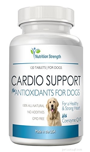 Top 8 Proven Dog Weight‑Loss Supplements for Healthier Pets