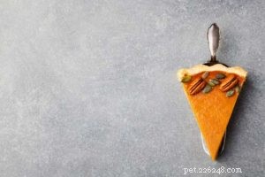 Keep Your Dog Safe This Thanksgiving: Foods to Avoid